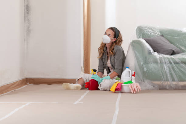 Reliable Basement Mold Removal contractor in Parkville, MD by WQB Mold Removal